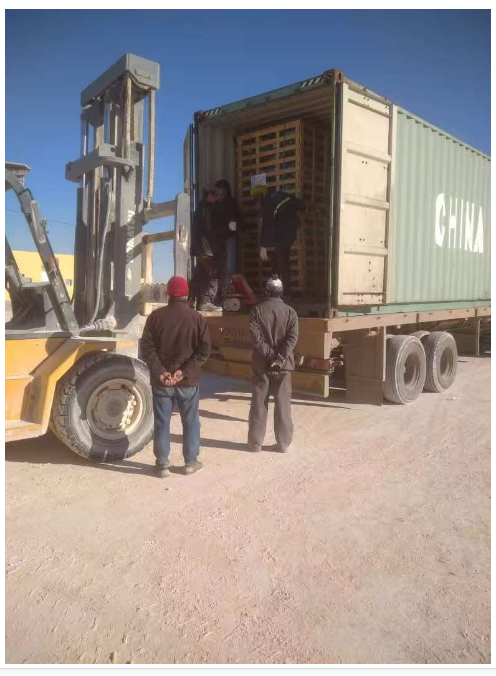 Algeria SONELGAZ-TOS SPA Glass Insulator Project (3).png